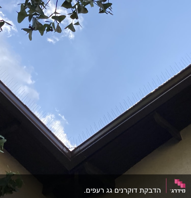 קוצים למניעת יונים על גג בניין